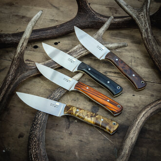 Zunftlinie Tradition