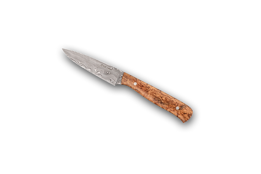 Chef's Paring Knife