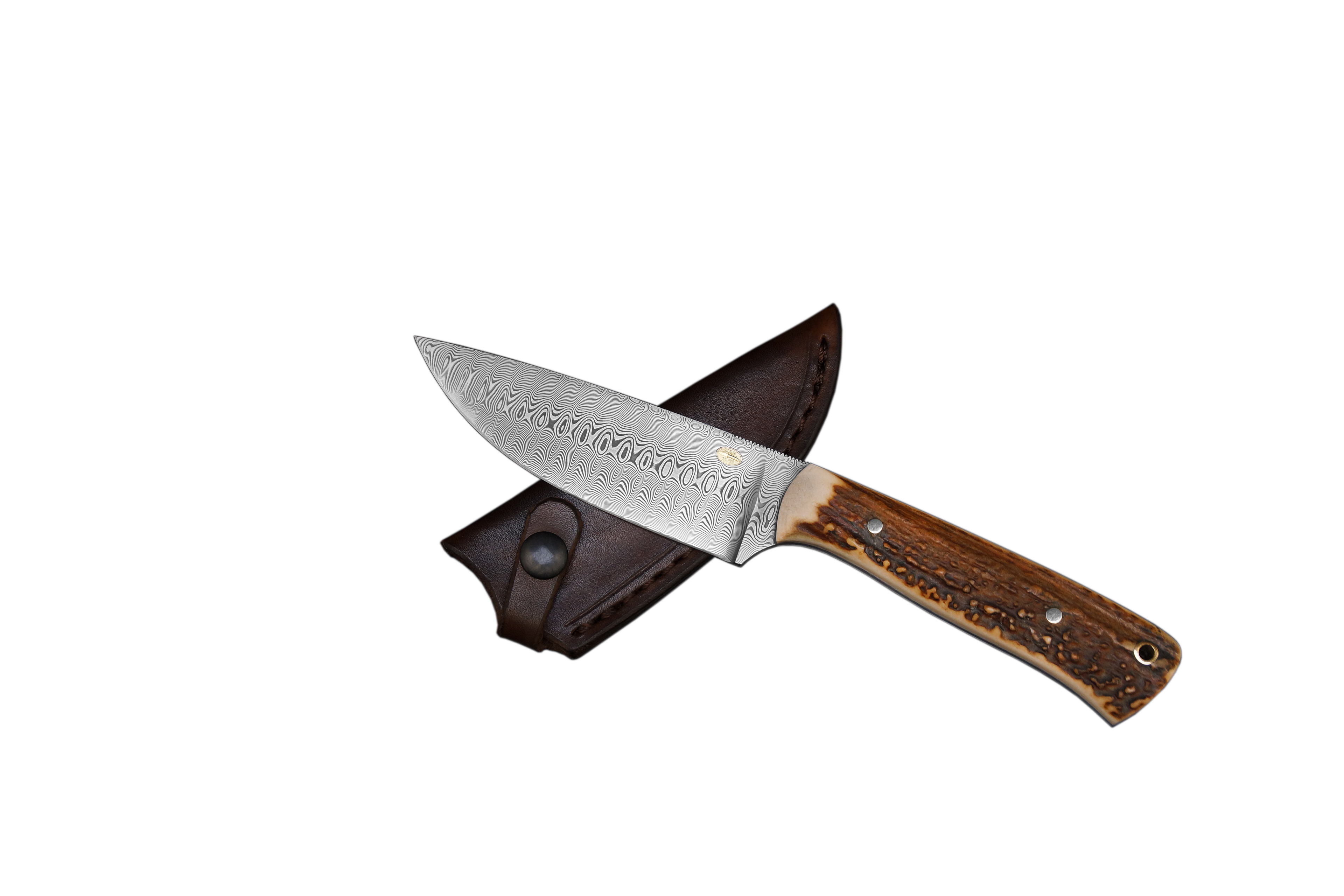 879f Zunft-Linie Tradition