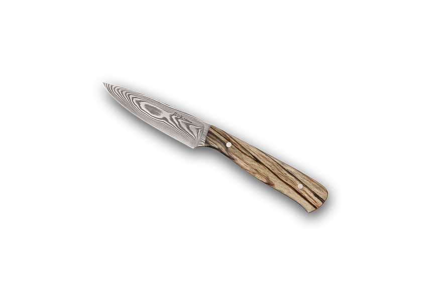 Chef's Paring Knife