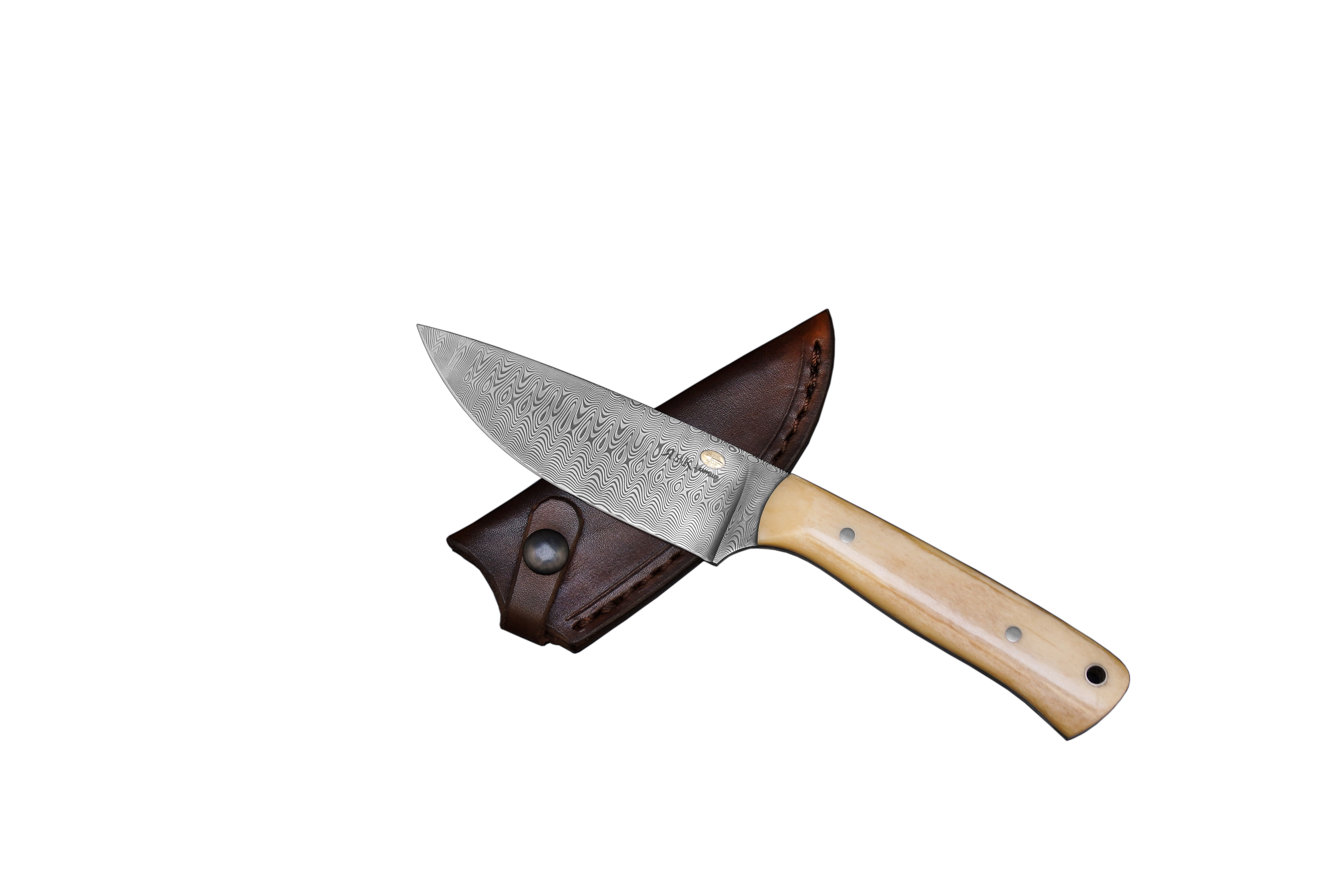 881f Zunft-Linie Tradition